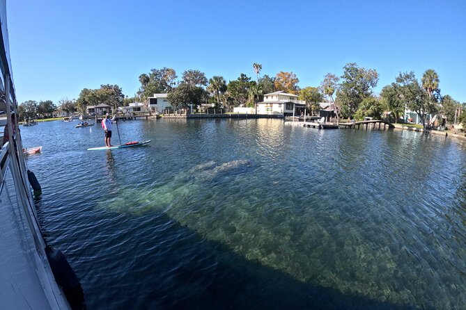 Kings Bay Manatee Watching Cruise - Key points to know before you book