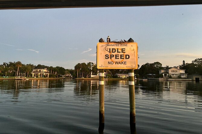 Kings Bay Manatee Watching Cruise - The captains make the short cruise better