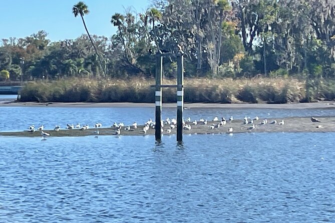 Kings Bay Manatee Watching Cruise - Is the $35 price a good deal?