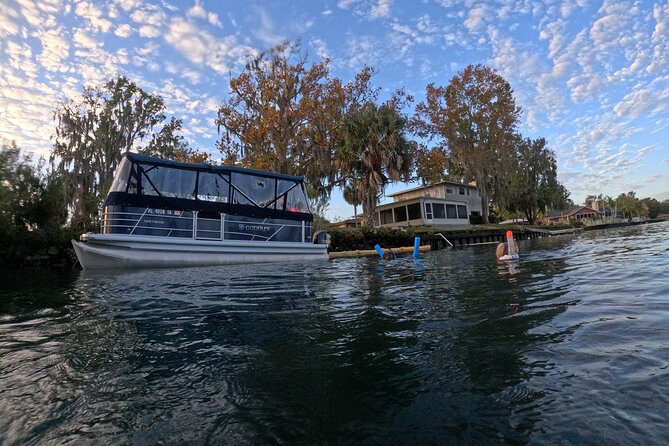Kings Bay Manatee Watching Cruise - Who will enjoy this cruise most?