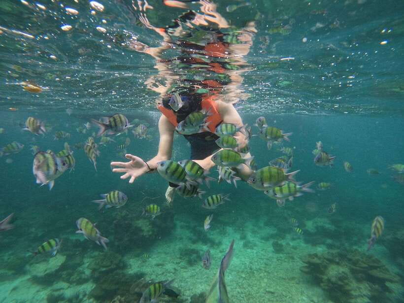 Koh Phi Phi: Early Morning Maya Bay, Bamboo Speedboat Tour - Weather, tides, and the practical limits