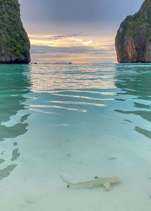 Koh Phi Phi: Maya Bay Private Longtail Boat Tour - Quick points before you book