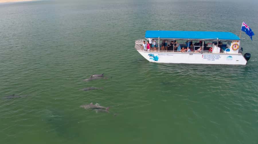 Koombana Bay: Dolphin Eco Cruise - The guides make a real difference