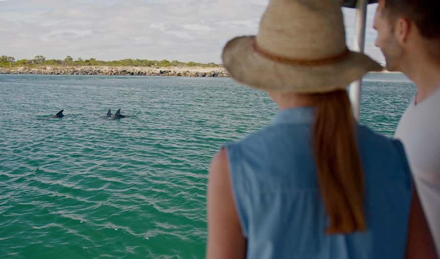 Koombana Bay: Dolphin Eco Cruise - Should you book the Koombana Bay Dolphin Eco Cruise?
