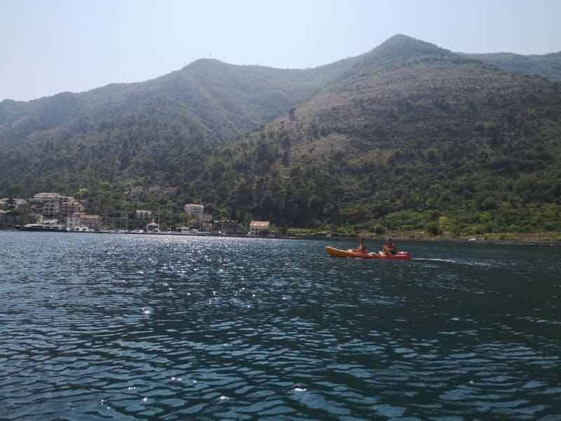 Kotor: Guided Kotor Bay Kayaking Tour - Kotor Bay makes a fine kayaking classroom