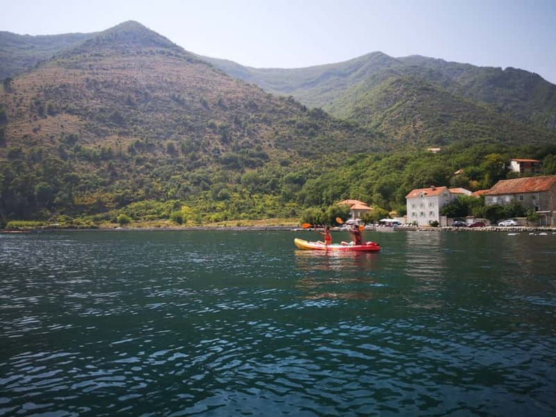 Kotor: Guided Kotor Bay Kayaking Tour - Practical tips for a smoother morning