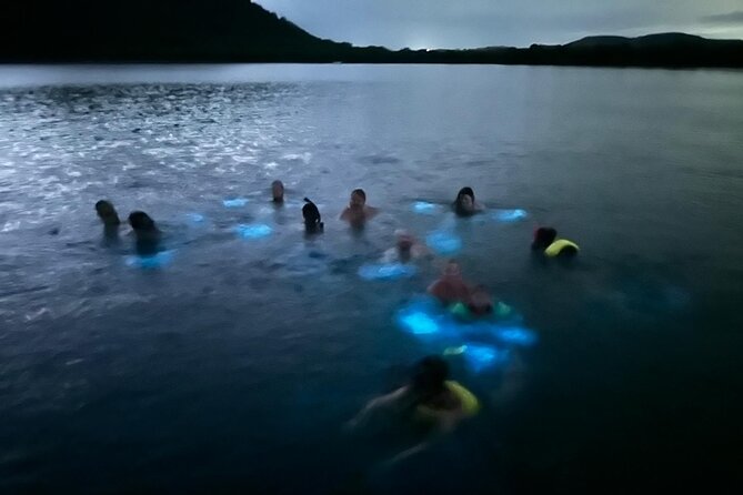 La Parguera Bio Bay Boat Ride and Swimming w/ San Juan Transport - The long ride from San Juan to La Parguera