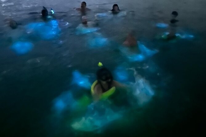 La Parguera Bio Bay Boat Ride and Swimming w/ San Juan Transport - The 20-minute swim