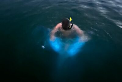 La Parguera Bio Bay Boat Ride and Swimming w/ San Juan Transport