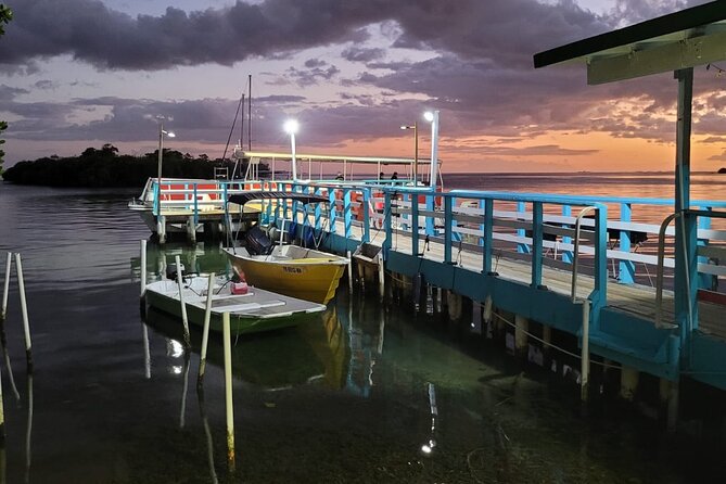 La Parguera Bio Bay Boat Ride and Swimming w/ San Juan Transport - Why the moon and weather matter