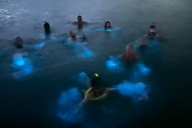 La Parguera Bio Bay Boat Ride and Swimming w/ San Juan Transport - The guides can shape the whole evening