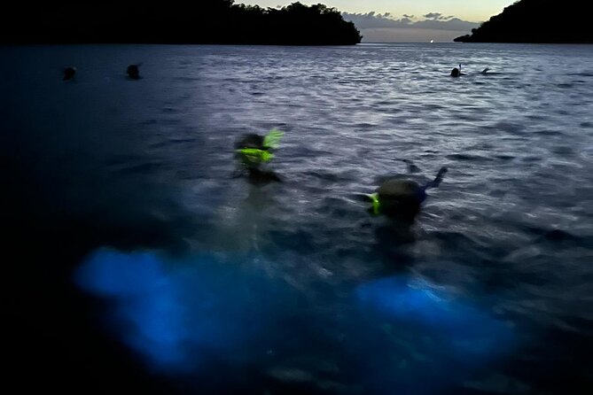 La Parguera Bio Bay Boat Ride and Swimming w/ San Juan Transport - What the $54.99 price covers