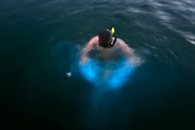 La Parguera Bio Bay Boat Ride and Swimming w/ San Juan Transport - A small motorboat into the protected waters