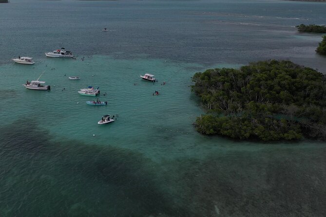 La Parguera Glowing Bioluminescent Bay Boat Tour from San Juan - The afternoon pickup from San Juan