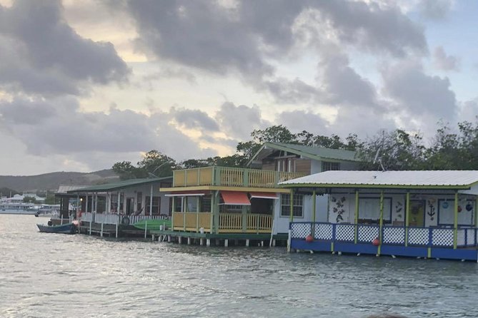 La Parguera Glowing Bioluminescent Bay Boat Tour from San Juan - What the $220 price includes