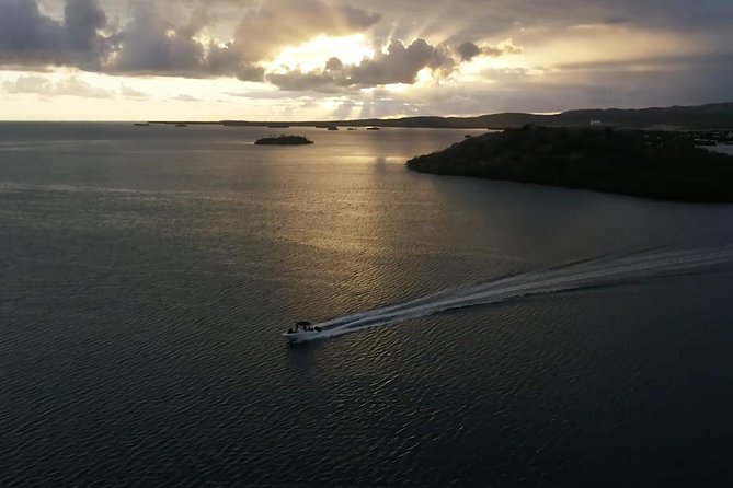 La Parguera Glowing Bioluminescent Bay Boat Tour from San Juan - A scenic cross-island ride to Lajas