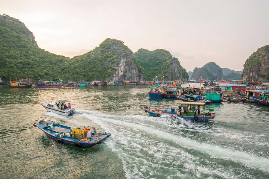 Lan Ha Bay - Kayaking 1 Day on cruise - What to bring and who should book