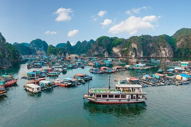 Lan Ha to Ha Long Bay Cruise and Kayaking from Cat Ba Island - Key points at a glance
