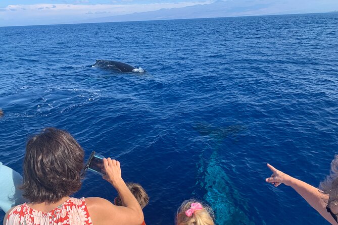 Late Morning Whale Watch Cruise on Seasmoke - Why this Kohala Coast cruise works well for whale watching