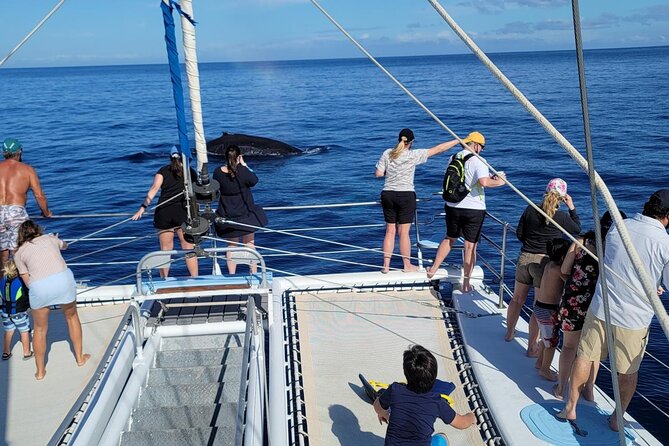 Late Morning Whale Watch Cruise on Seasmoke - Hearing whales through the underwater hydrophone