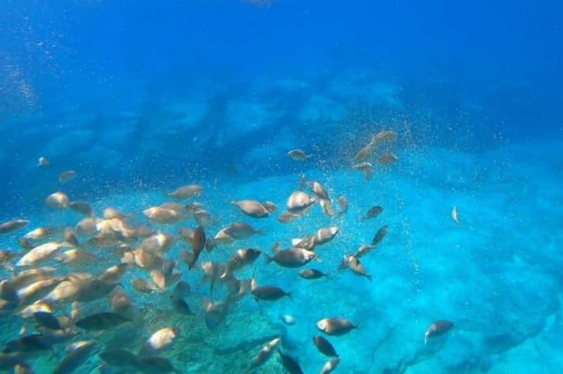 Lindos: Submarine Cruise with Swimming Stop at Navarone Bay - Key points to know before you book