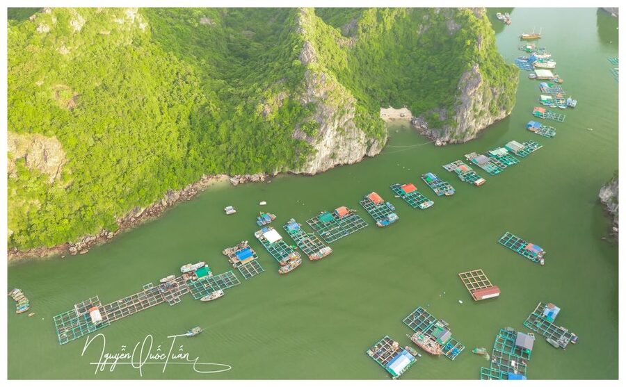 Long Trekking Catba national park, Lan ha bay full day trip - A full day from Cat Ba town to the forest
