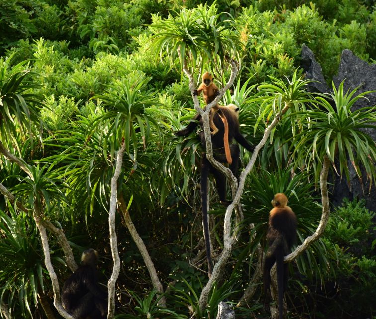 Long Trekking Catba national park, Lan ha bay full day trip - Lunch and the rural stop at Viet Hai