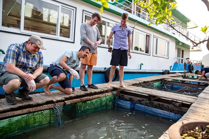 Luxury Day Trip Visit Halong Bay and Lan Ha Bay (8Hours) - The listed Hang Toi stop needs clarification