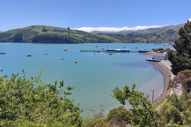 Lyttelton Shore Excursion: Twin Harbour Tour (Lyttelton & Akaroa) - The return journey and the day’s pace