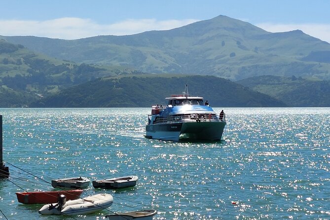 Lyttelton Shore Excursion: Twin Harbour Tour (Lyttelton & Akaroa) - My booking advice for the $167.55 price