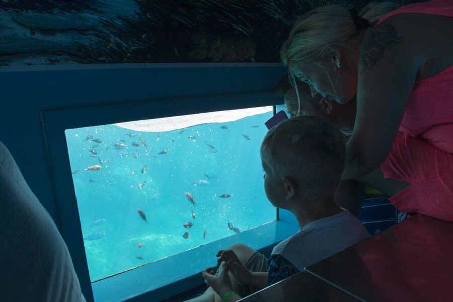 Mahon: Harbor Boat Tour with Underwater Viewing & Commentary - The return route: San Felipe Castle and the eastern inlets