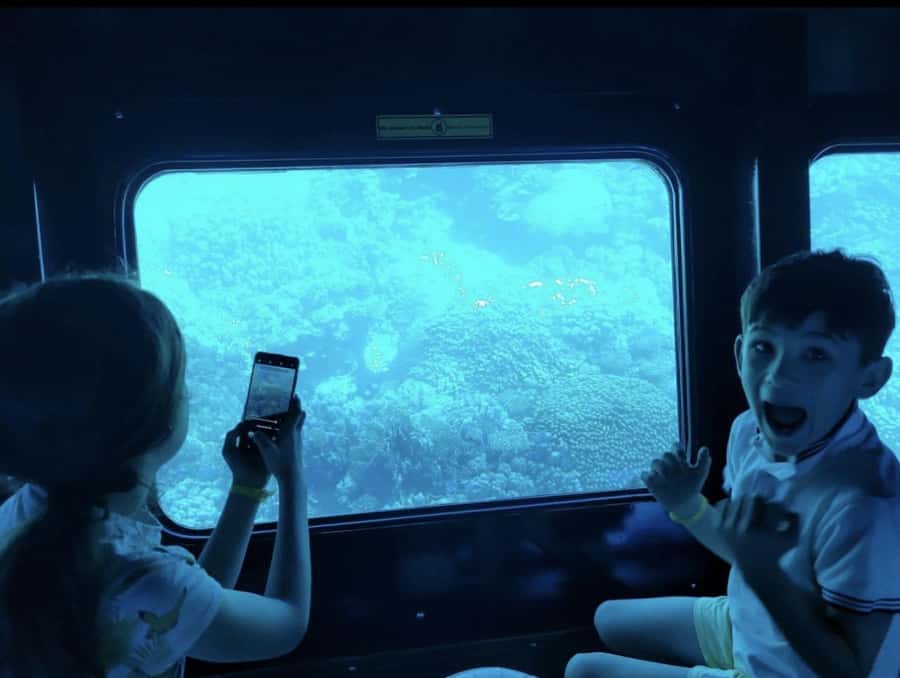 Makadi Bay: Royal Seascope Submarine Cruise & Snorkel stop - Key points at a glance