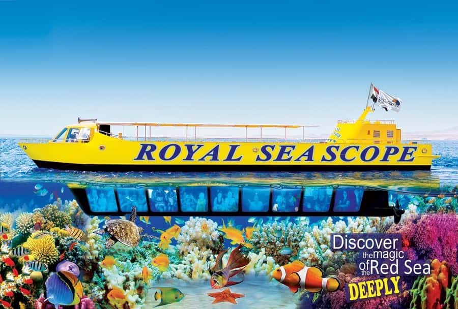 Makadi Bay: Royal Seascope Submarine Cruise & Snorkel stop - What the Royal Seascope actually offers
