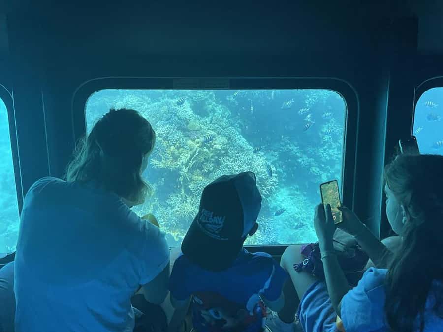 Makadi Bay: Royal Seascope Submarine Cruise & Snorkel stop - The 15-minute cruise out to the reef