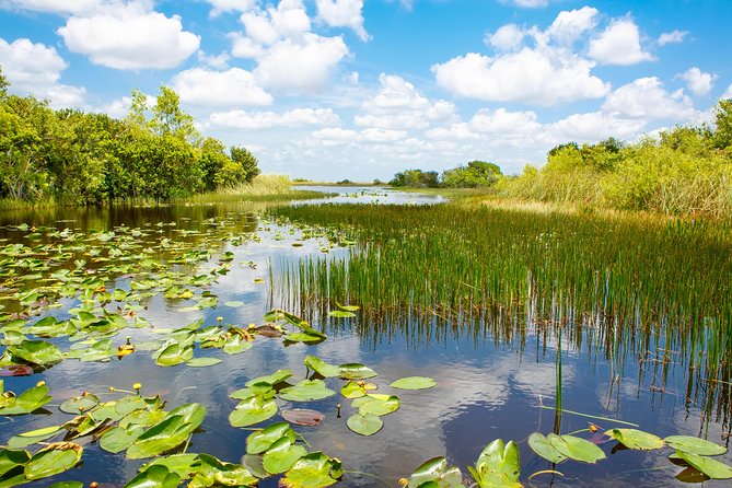 Miami and Everglades Adventure: Airboat & Bay Cruise Combo - The return to Miami and the Biscayne Bay handoff