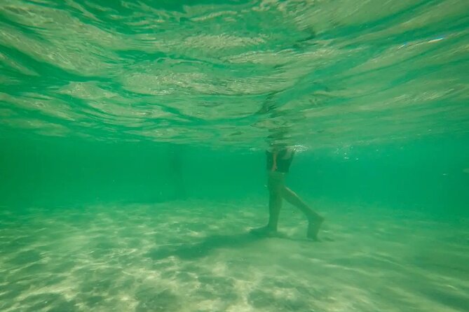 Miami Biscayne Bay Boat Tour with Sandbar Experience. - Is $149 a fair price?