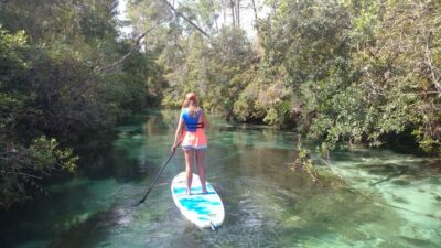 Biscayne Bay Ultimate Boat Tour with Kayak Experience