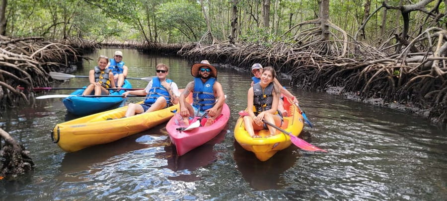 Miami: Biscayne Bay Ultimate Boat Tour with Kayak Experience - Kayaking through Sandspur Island’s mangrove tunnels
