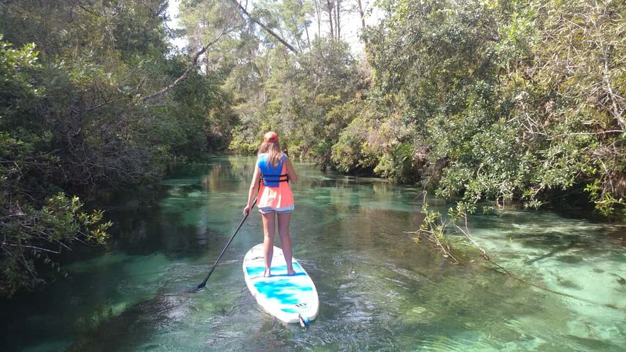 Miami: Biscayne Bay Ultimate Boat Tour with Kayak Experience - Bird Island and the bay’s wild side