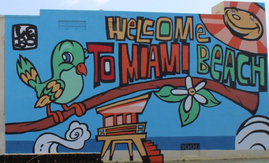 Miami: City Tour & Cruise of Biscayne Bay - Wynwood and Miami’s public art