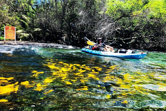 Midday Meander - Kealakekua Bay Kayak and Snorkel Adventure - Paddling the mile to Kaawaloa