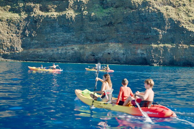 Midday Meander - Kealakekua Bay Kayak and Snorkel Adventure - What the $187.45 price buys you