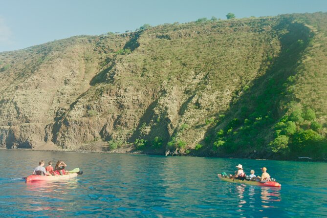 Midday Meander - Kealakekua Bay Kayak and Snorkel Adventure - Who will enjoy this Kealakekua Bay trip