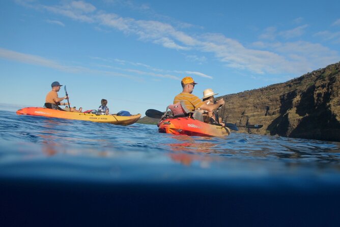 Midday Meander - Kealakekua Bay Kayak and Snorkel Adventure - Practical details before you book