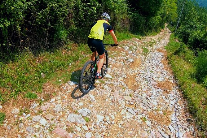 Mountain Biking on Vrmac peninsula - Panoramic view on Kotor bay - Trojica is the practical launch point for the bike ride