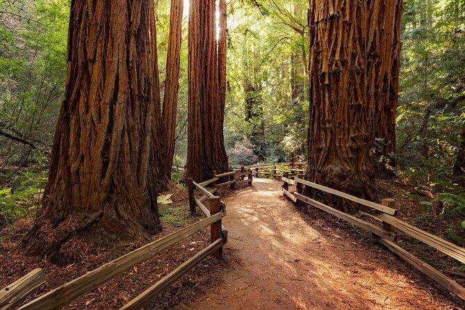 Muir Woods and Sausalito Tour Plus Bay Cruise - Why this six-hour combination works