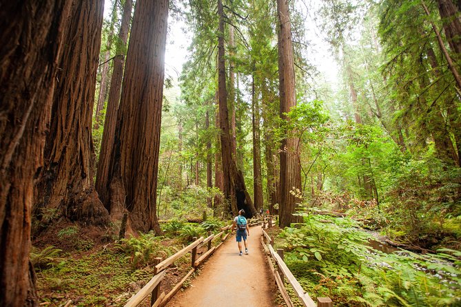 Muir Woods and Sausalito Tour Plus Bay Cruise - What the $133 price really buys