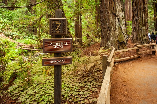Muir Woods and Sausalito Tour Plus Bay Cruise - Who should book this tour