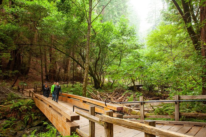 Muir Woods and Sausalito Tour Plus Bay Cruise - Ten minutes at Golden Gate North Vista Point