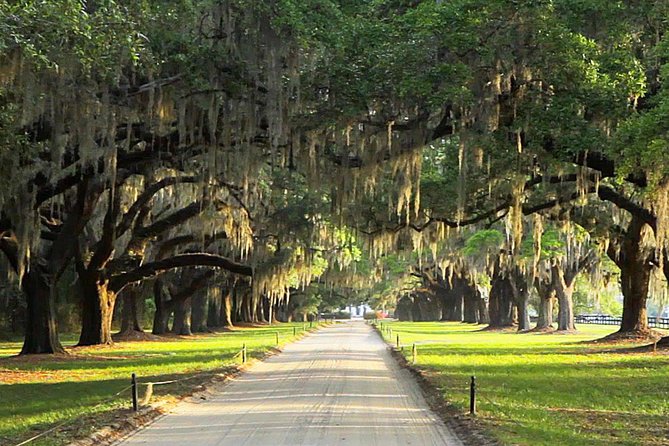 Myrtle Beach to Charleston with Horse & Carriage Ride, Harbor Cruise, Boone Hall - A long day that covers Charleston’s big pieces
